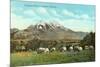 Emigrant Peak, Livingston, Montana-null-Mounted Premium Giclee Print