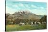 Emigrant Peak, Livingston, Montana-null-Stretched Canvas