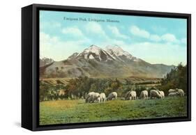 Emigrant Peak, Livingston, Montana-null-Framed Stretched Canvas