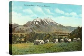 Emigrant Peak, Livingston, Montana-null-Stretched Canvas
