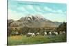 Emigrant Peak, Livingston, Montana-null-Stretched Canvas