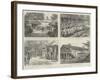 Emigration from India to British Guiana-null-Framed Giclee Print