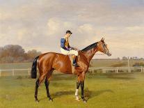 The Racehorse, 'Northeast' with Jockey Up-Emil Adam-Giclee Print