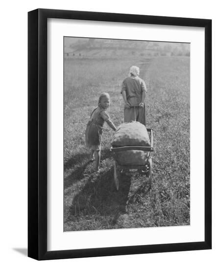 Premium Photographic Print, , large