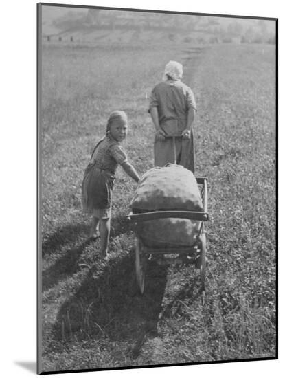 Photographic Print, , large