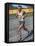Emil Zatopek of Czechoslovakia, Olympic Gold Medalist in the 10,000m Race at the 1948 London…-null-Framed Stretched Canvas