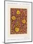 Wood Mount