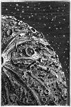 Autour De La Lune, Landing on the Moon!-Emile Bayard-Art Print