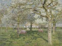 Le verger au printemps-Emile Claus-Framed Stretched Canvas