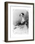 Emile Ctess Shaftesbury-J Hayter-Framed Giclee Print