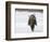 Emile Hirsch-null-Framed Photo