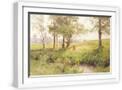 White Frame