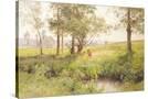Stretched Canvas