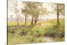 Stretched Canvas