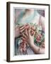 Emile Vernon - the Rose Girl-Vintage Lavoie-Framed Giclee Print