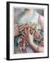 Emile Vernon - the Rose Girl-Vintage Lavoie-Framed Giclee Print