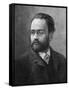 Emile Zola-null-Framed Stretched Canvas