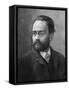 Emile Zola-null-Framed Stretched Canvas
