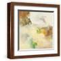 Brown Frame
