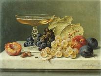 Ein Champagnerglas, Weintrauben, Pflaumen und Pfirsiche auf einer Marmorplatte-Emilie Preyer-Stretched Canvas