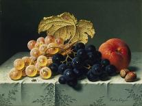 Still Life with Fruit-Emilie Preyer-Laminated Giclee Print