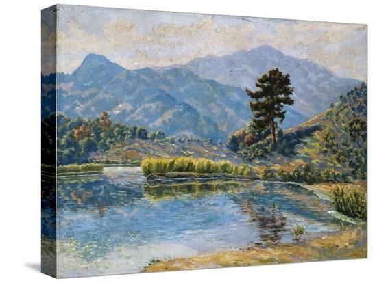 Stretched Canvas Print, , large