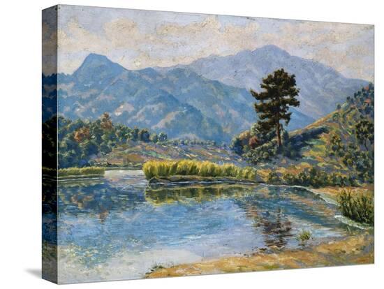 Stretched Canvas Print, , large