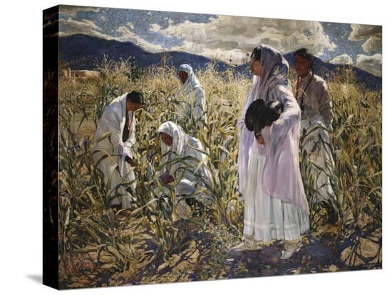 Stretched Canvas Print, , large