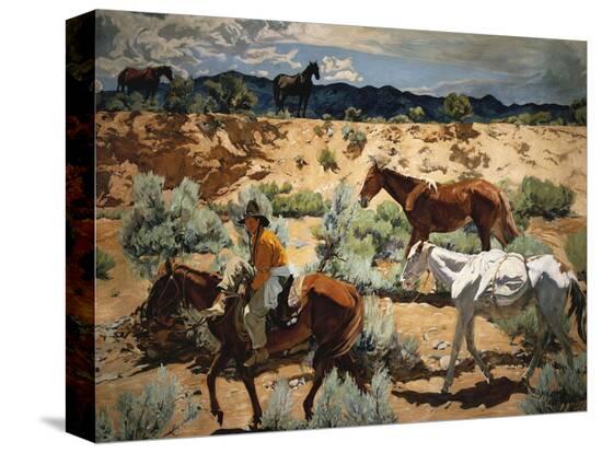 Stretched Canvas Print, , large
