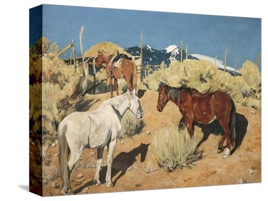 Stretched Canvas Print, , large
