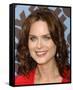 Emily Deschanel-null-Framed Stretched Canvas