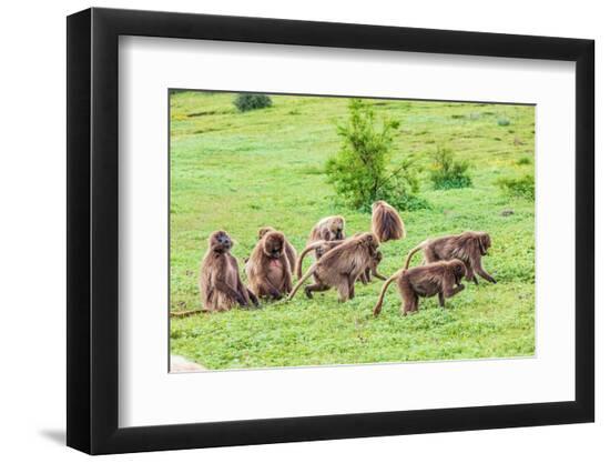 Premium Photographic Print, , large