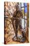 Stretched Canvas