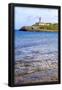 Essential Black