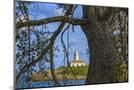 Wood Mount