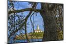 Wood Mount