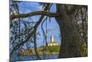 Wood Mount