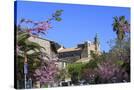 Stretched Canvas
