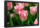Essential Black