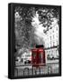Essential Black