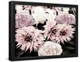 Essential Black