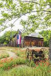 Castroville, Texas, USA.  Large American flag on a barn in the Texas Hill Country.-Emily Wilson-Photographic Print