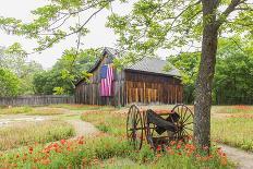 Castroville, Texas, USA.  Large American flag on a barn in the Texas Hill Country.-Emily Wilson-Photographic Print