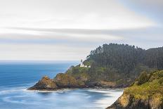 Heceta Head, Oregon, USA. The Heceta Head lighthouse on the Oregon coast.-Emily Wilson-Photographic Print