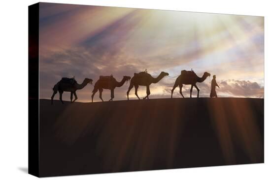 Stretched Canvas Print, , large