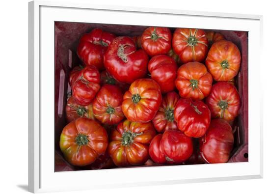Framed Photographic Print, , large