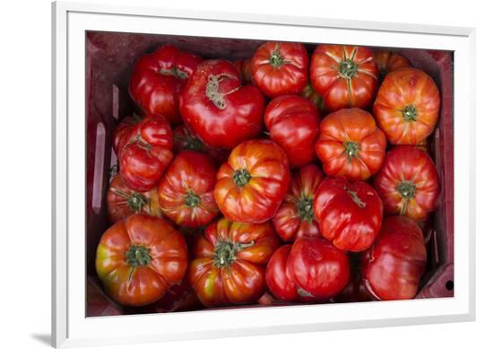 Framed Photographic Print, , large