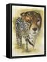 Eminence-Barbara Keith-Framed Stretched Canvas