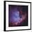 Emission Nebula and Open Cluster in Cassiopeia-Robert Gendler-Framed Giclee Print