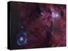 Emission Nebula Ngc 6188 Star Formation Region in Ara-Stocktrek Images-Stretched Canvas